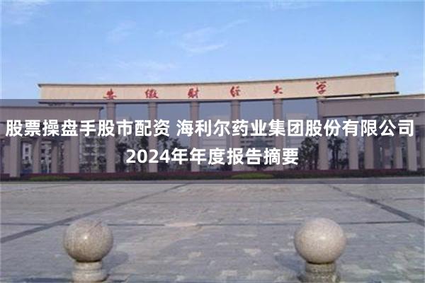 股票操盘手股市配资 海利尔药业集团股份有限公司 2024年年度报告摘要