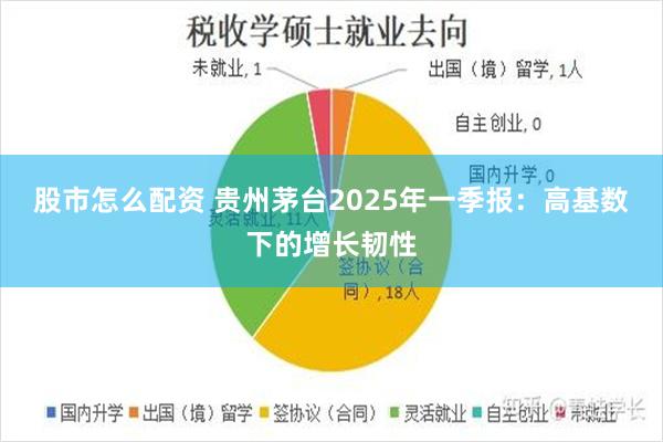 股市怎么配资 贵州茅台2025年一季报：高基数下的增长韧性