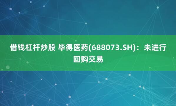 借钱杠杆炒股 毕得医药(688073.SH)：未进行回购交易