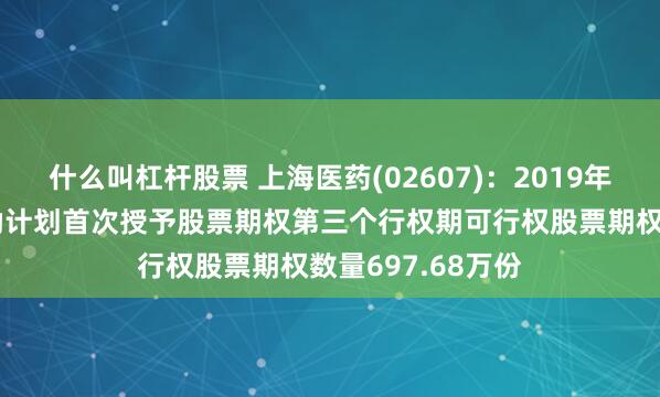 什么叫杠杆股票 上海医药(02607)：2019年A股股票期权激励计划首次授予股票期权第三个行权期可行权股票期权数量697.68万份