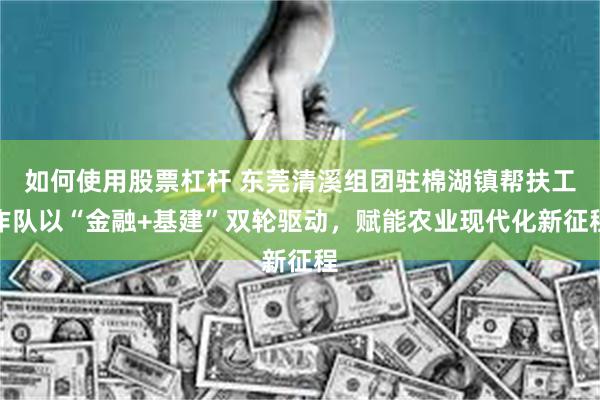 如何使用股票杠杆 东莞清溪组团驻棉湖镇帮扶工作队以“金融+基建”双轮驱动，赋能农业现代化新征程