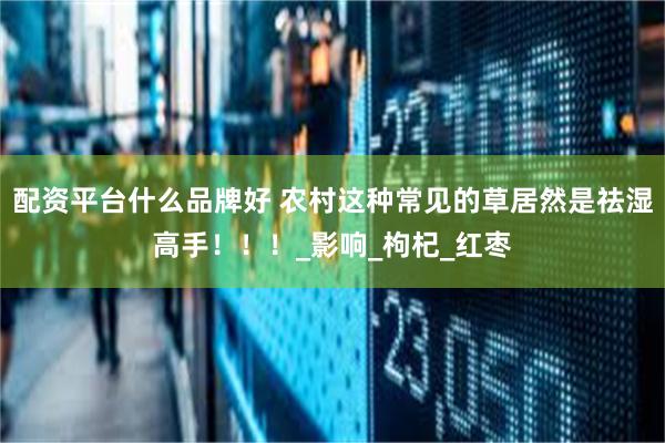配资平台什么品牌好 农村这种常见的草居然是祛湿高手！！！_影响_枸杞_红枣