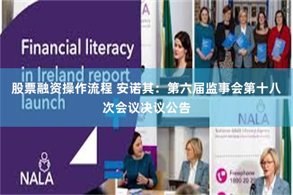 股票融资操作流程 安诺其：第六届监事会第十八次会议决议公告