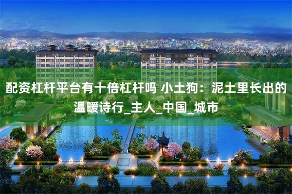 配资杠杆平台有十倍杠杆吗 小土狗：泥土里长出的温暖诗行_主人_中国_城市