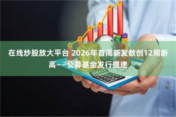 在线炒股放大平台 2026年首周新发数创12周新高——公募基金发行提速