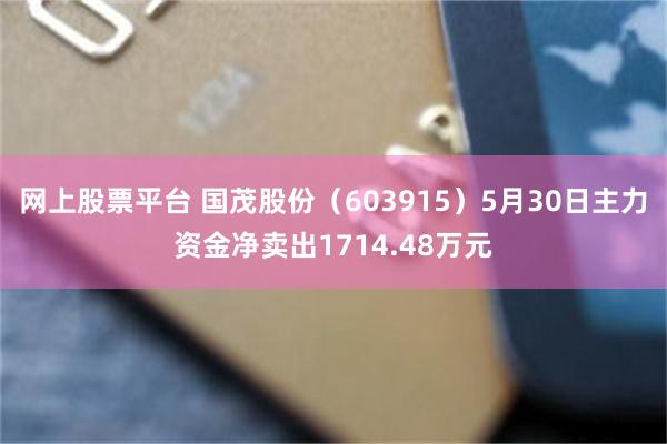 网上股票平台 国茂股份（603915）5月30日主力资金净卖出1714.48万元