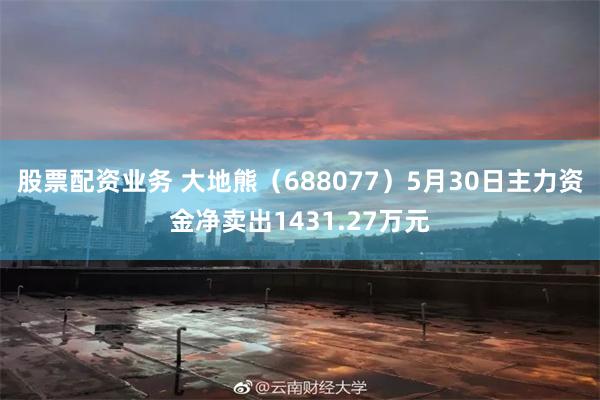 股票配资业务 大地熊（688077）5月30日主力资金净卖出1431.27万元