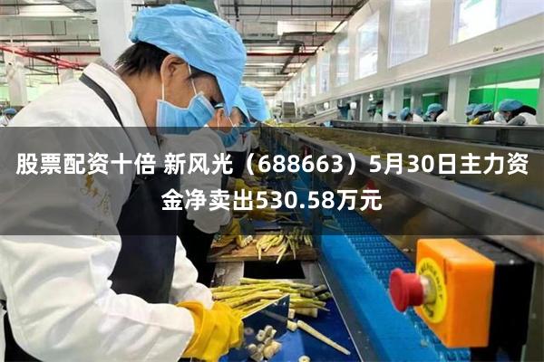 股票配资十倍 新风光（688663）5月30日主力资金净卖出530.58万元