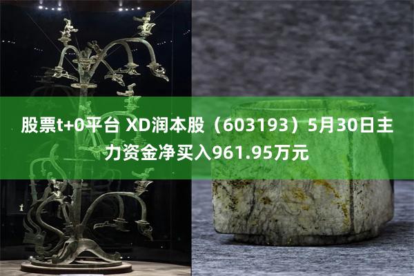 股票t+0平台 XD润本股（603193）5月30日主力资金净买入961.95万元