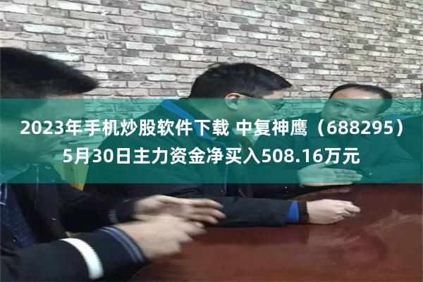 2023年手机炒股软件下载 中复神鹰（688295）5月30日主力资金净买入508.16万元