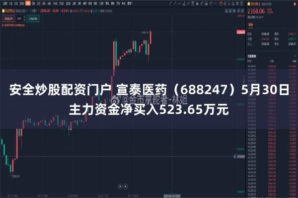 安全炒股配资门户 宣泰医药（688247）5月30日主力资金净买入523.65万元