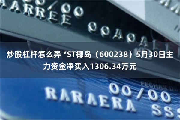 炒股杠杆怎么弄 *ST椰岛（600238）5月30日主力资金净买入1306.34万元