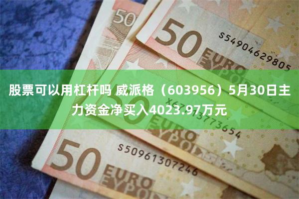 股票可以用杠杆吗 威派格（603956）5月30日主力资金净买入4023.97万元