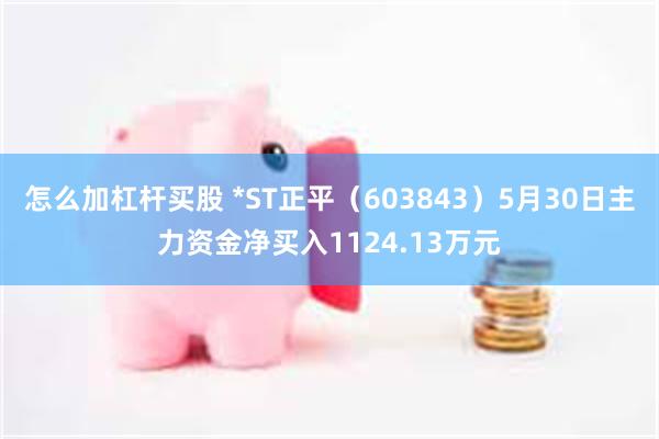 怎么加杠杆买股 *ST正平（603843）5月30日主力资金净买入1124.13万元