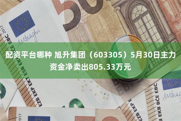 配资平台哪种 旭升集团（603305）5月30日主力资金净卖出805.33万元