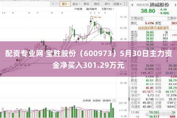 配资专业网 宝胜股份（600973）5月30日主力资金净买入301.29万元