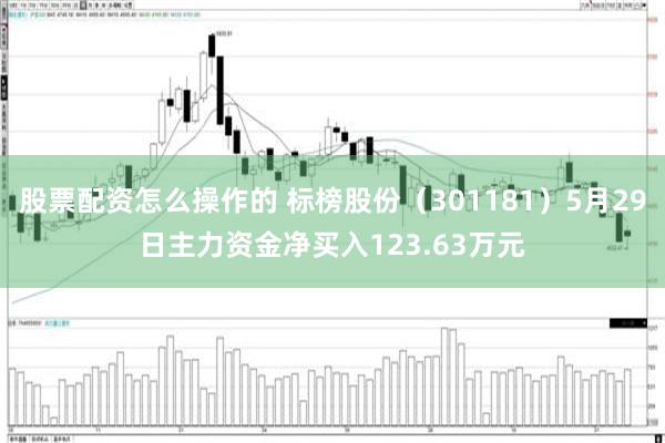 股票配资怎么操作的 标榜股份（301181）5月29日主力资金净买入123.63万元
