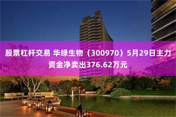 股票杠杆交易 华绿生物（300970）5月29日主力资金净卖出376.62万元