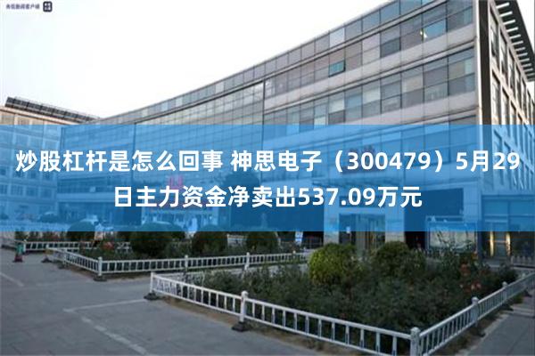 炒股杠杆是怎么回事 神思电子（300479）5月29日主力资金净卖出537.09万元