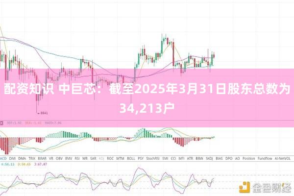 配资知识 中巨芯：截至2025年3月31日股东总数为34,213户