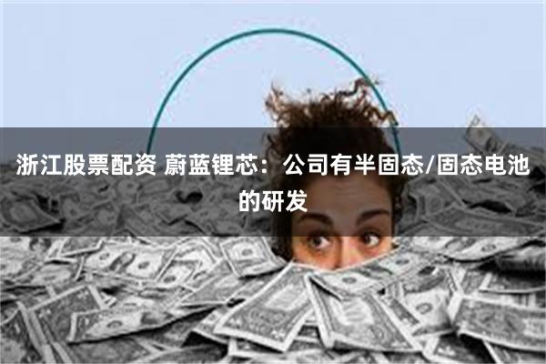 浙江股票配资 蔚蓝锂芯：公司有半固态/固态电池的研发