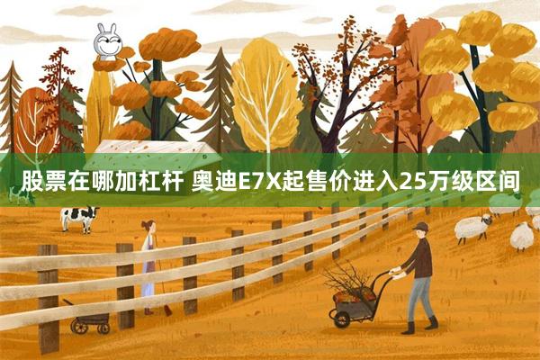 股票在哪加杠杆 奥迪E7X起售价进入25万级区间