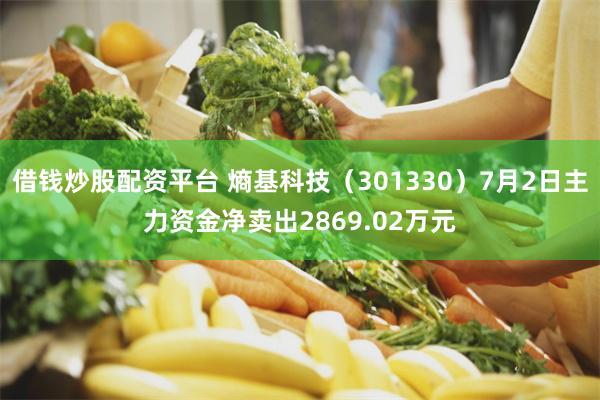 借钱炒股配资平台 熵基科技（301330）7月2日主力资金净卖出2869.02万元
