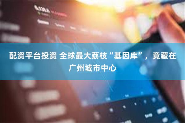 配资平台投资 全球最大荔枝“基因库”，竟藏在广州城市中心