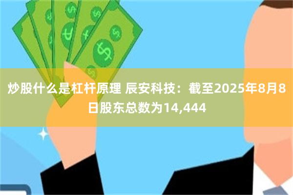 炒股什么是杠杆原理 辰安科技：截至2025年8月8日股东总数为14,444
