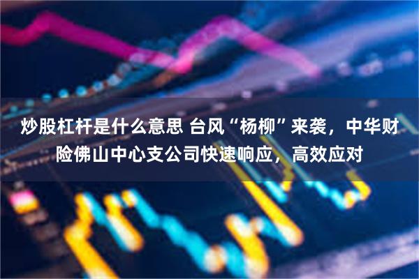 炒股杠杆是什么意思 台风“杨柳”来袭，中华财险佛山中心支公司快速响应，高效应对