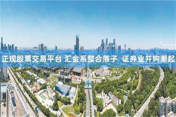 正规股票交易平台 汇金系整合落子  证券业并购潮起