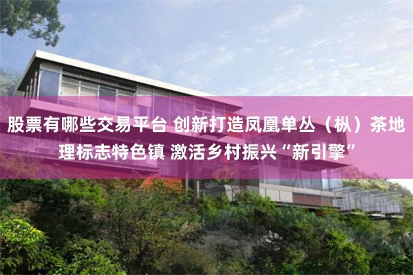 股票有哪些交易平台 创新打造凤凰单丛（枞）茶地理标志特色镇 激活乡村振兴“新引擎”