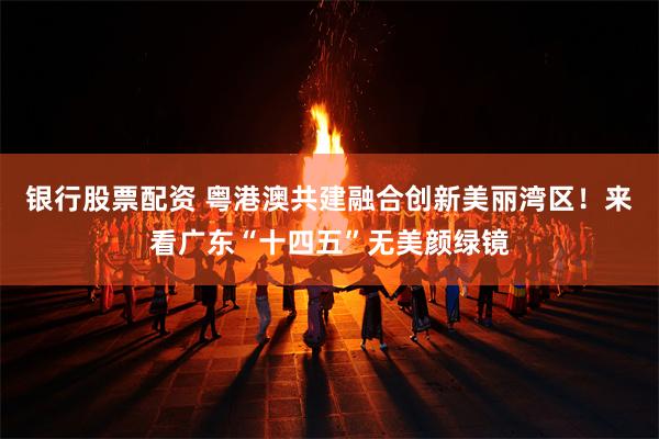 银行股票配资 粤港澳共建融合创新美丽湾区!来看广东“十四五”无美颜绿镜