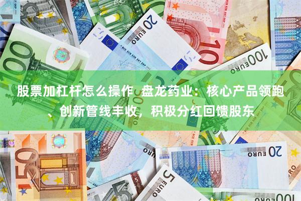 股票加杠杆怎么操作  盘龙药业：核心产品领跑、创新管线丰收，积极分红回馈股东