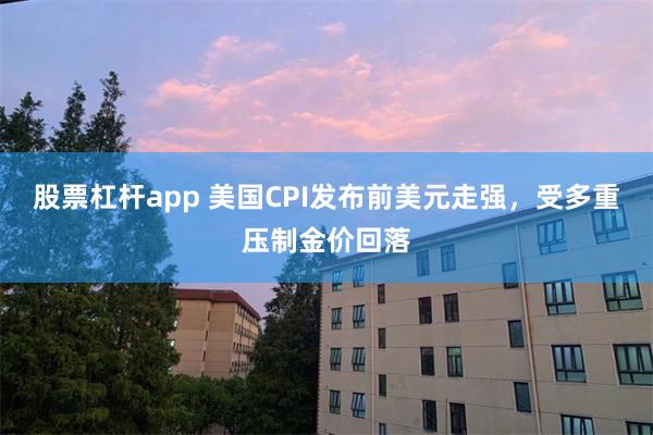 股票杠杆app 美国CPI发布前美元走强，受多重压制金价回落