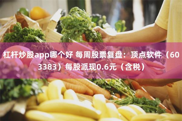 杠杆炒股app哪个好 每周股票复盘：顶点软件（603383）每股派现0.6元（含税）