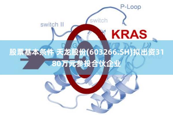 股票基本条件 天龙股份(603266.SH)拟出资3180万元参投合伙企业