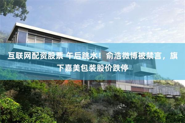 互联网配资股票 午后跳水！俞浩微博被禁言，旗下嘉美包装股价跌停
