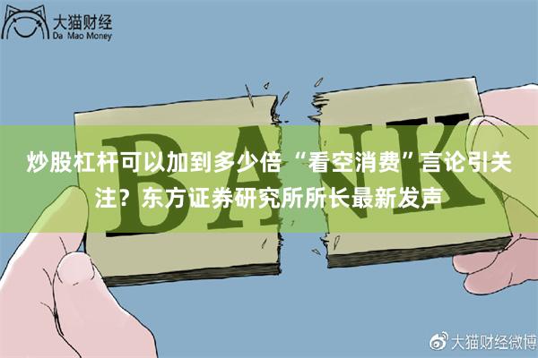 炒股杠杆可以加到多少倍 “看空消费”言论引关注？东方证券研究所所长最新发声