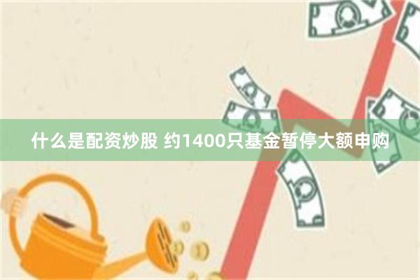 什么是配资炒股 约1400只基金暂停大额申购