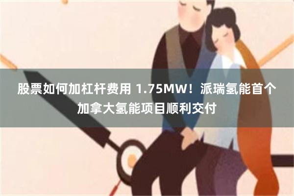 股票如何加杠杆费用 1.75MW！派瑞氢能首个加拿大氢能项目顺利交付