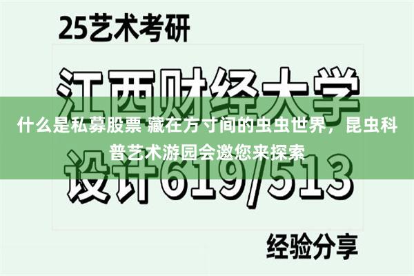 什么是私募股票 藏在方寸间的虫虫世界，昆虫科普艺术游园会邀您来探索