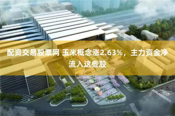 配资交易股票网 玉米概念涨2.63%，主力资金净流入这些股