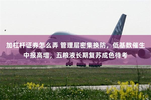 加杠杆证券怎么弄 管理层密集换防，低基数催生中报高增，五粮液长期复苏成色待考