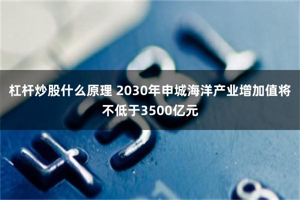 杠杆炒股什么原理 2030年申城海洋产业增加值将不低于3500亿元