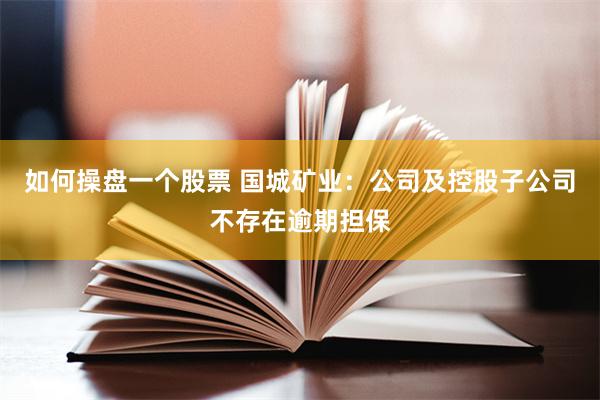 如何操盘一个股票 国城矿业：公司及控股子公司不存在逾期担保