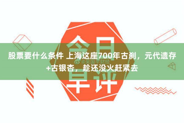 股票要什么条件 上海这座700年古刹，元代遗存+古银杏，趁还没火赶紧去