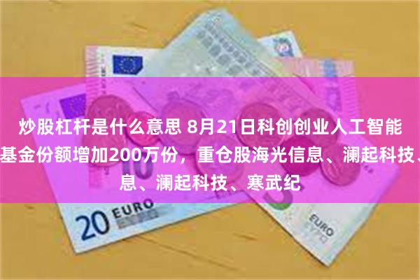 炒股杠杆是什么意思 8月21日科创创业人工智能ETF摩根基金份额增加200万份，重仓股海光信息、澜起科技、寒武纪