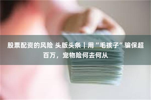 股票配资的风险 头版头条｜用“毛孩子”骗保超百万，宠物险何去何从