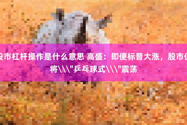 股市杠杆操作是什么意思 高盛：即便标普大涨，股市仍将\